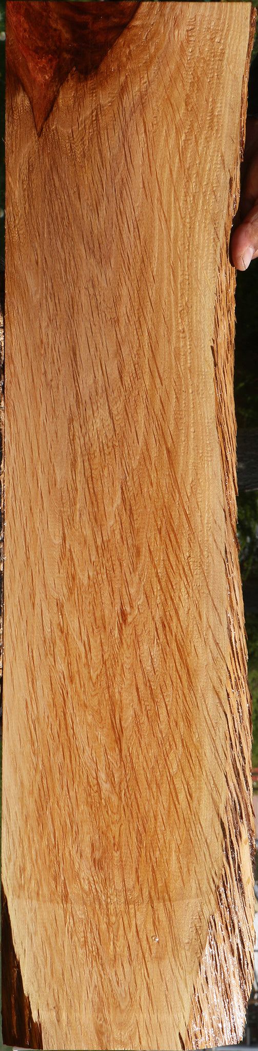Beefwood Live Edge Lumber