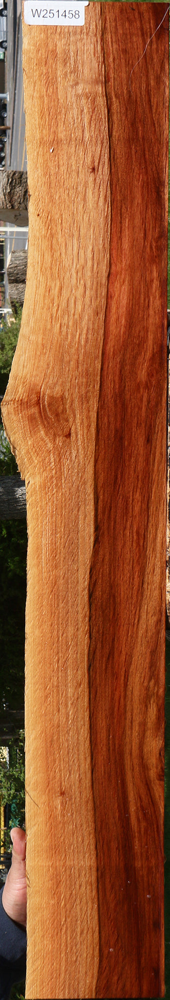 Figured Beefwood Live Edge Lumber