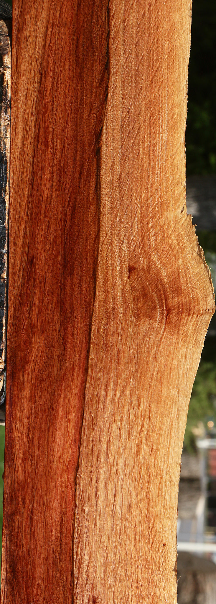 Figured Beefwood Live Edge Lumber