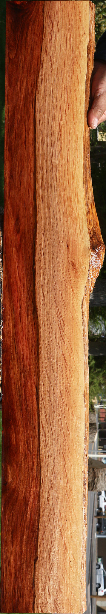Figured Beefwood Live Edge Lumber