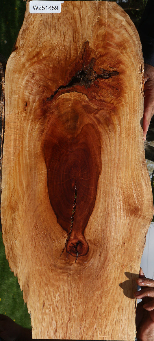 Extra Fancy Rustic Beefwood Live Edge Lumber
