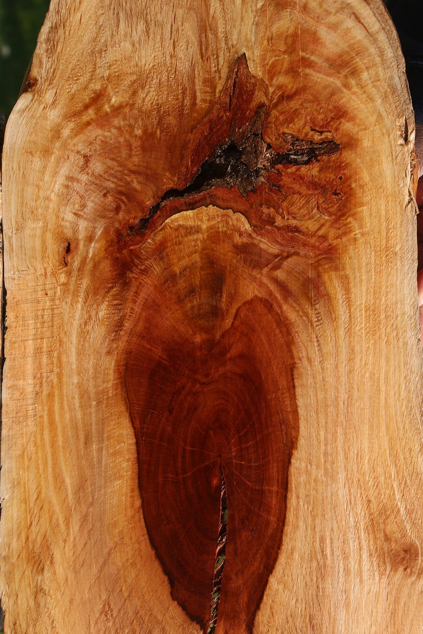 Extra Fancy Rustic Beefwood Live Edge Lumber