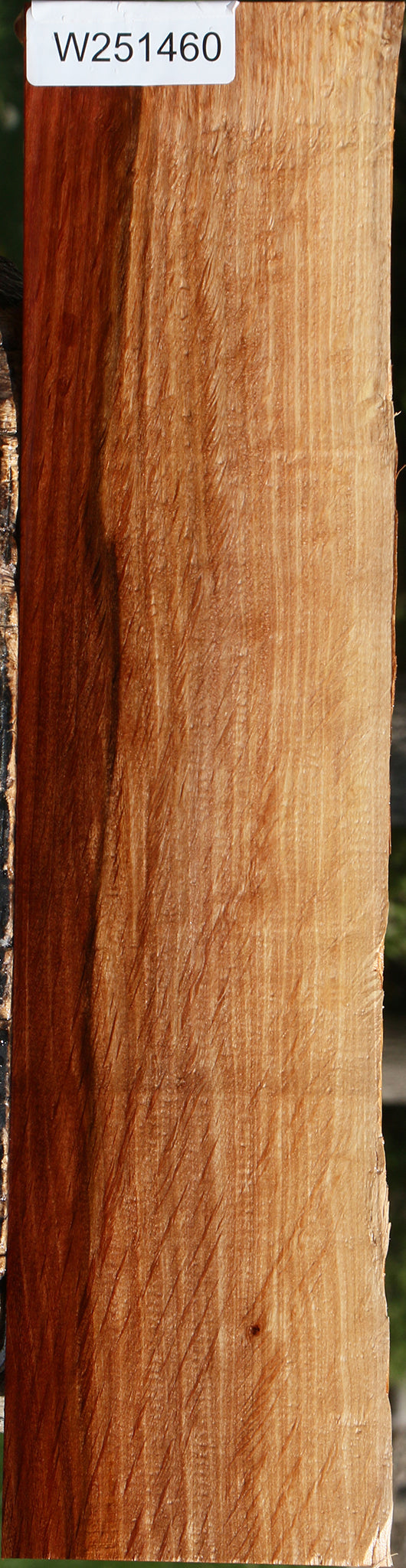 Beefwood Live Edge Lumber