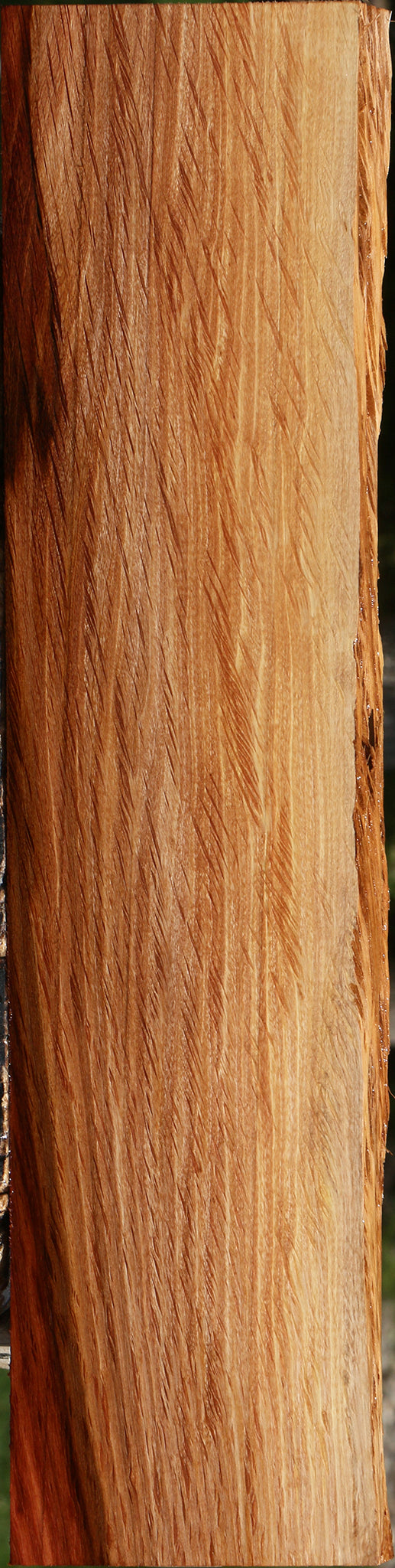 Beefwood Live Edge Lumber