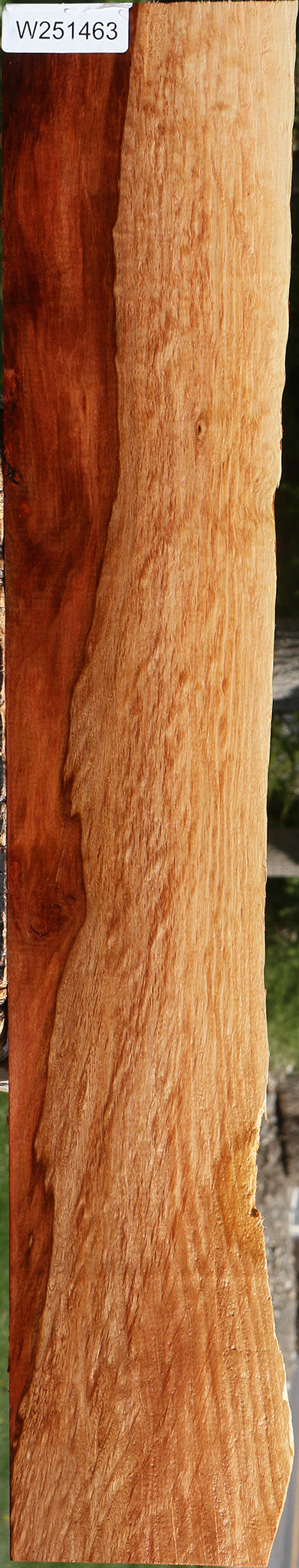 Figured Beefwood Live Edge Lumber