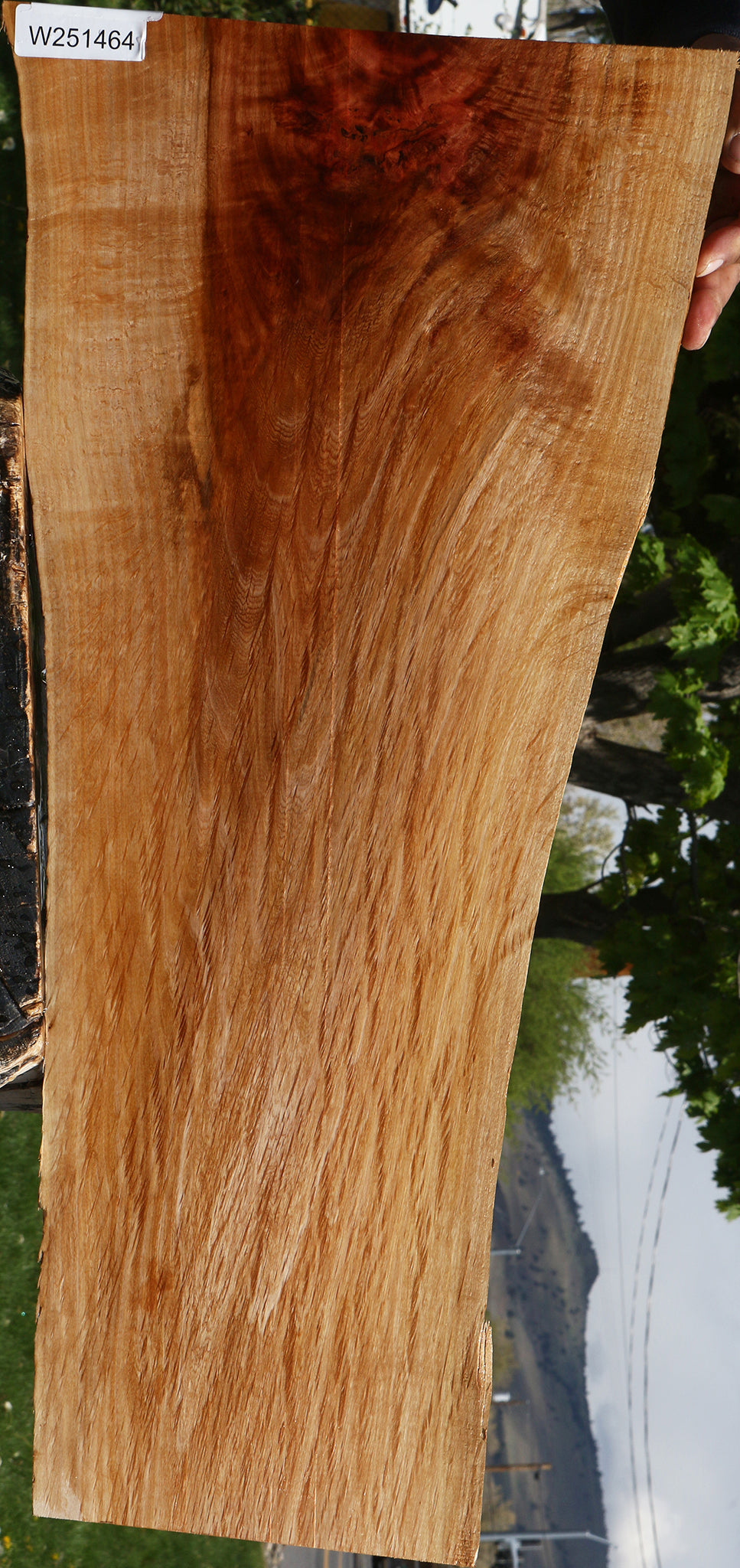 Figured Beefwood Live Edge Lumber