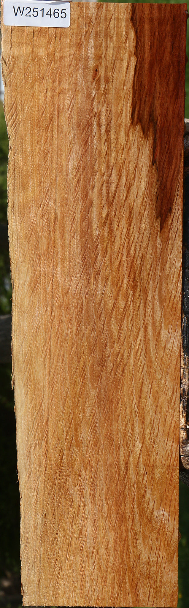 Beefwood Live Edge Lumber