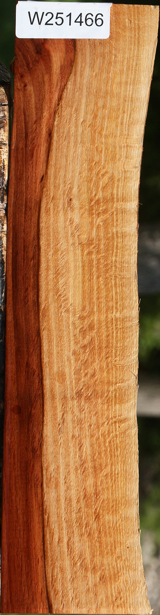 Beefwood Live Edge Lumber