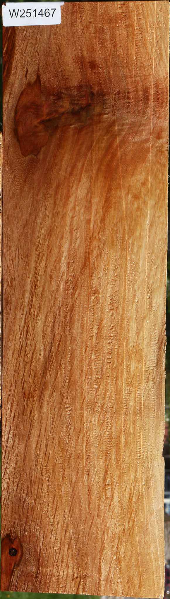 Beefwood Live Edge Lumber