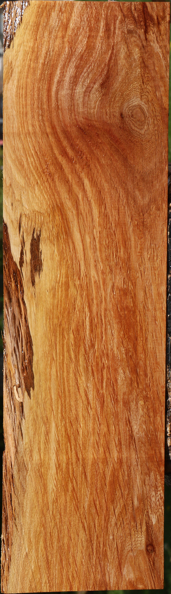 Beefwood Live Edge Lumber