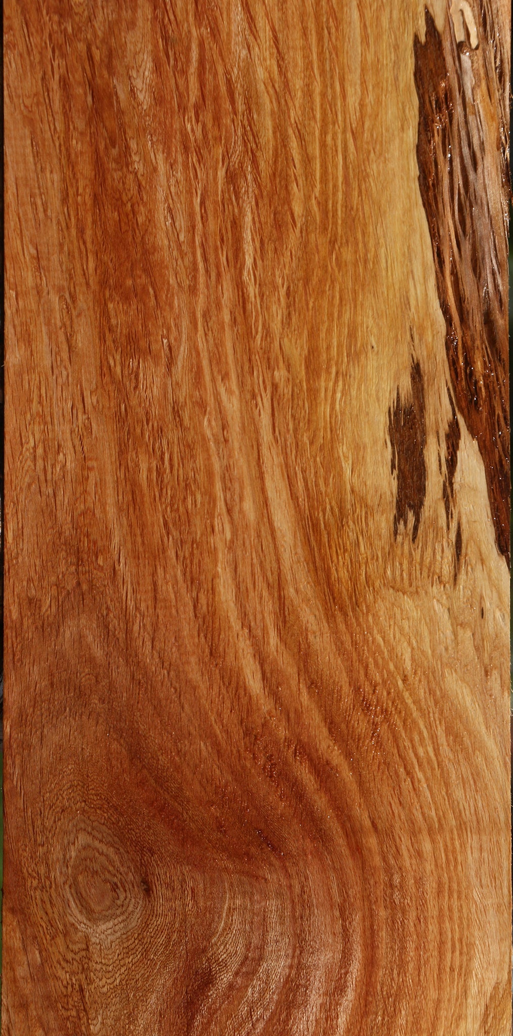Beefwood Live Edge Lumber