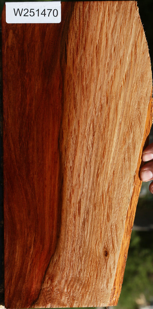 Beefwood Live Edge Lumber