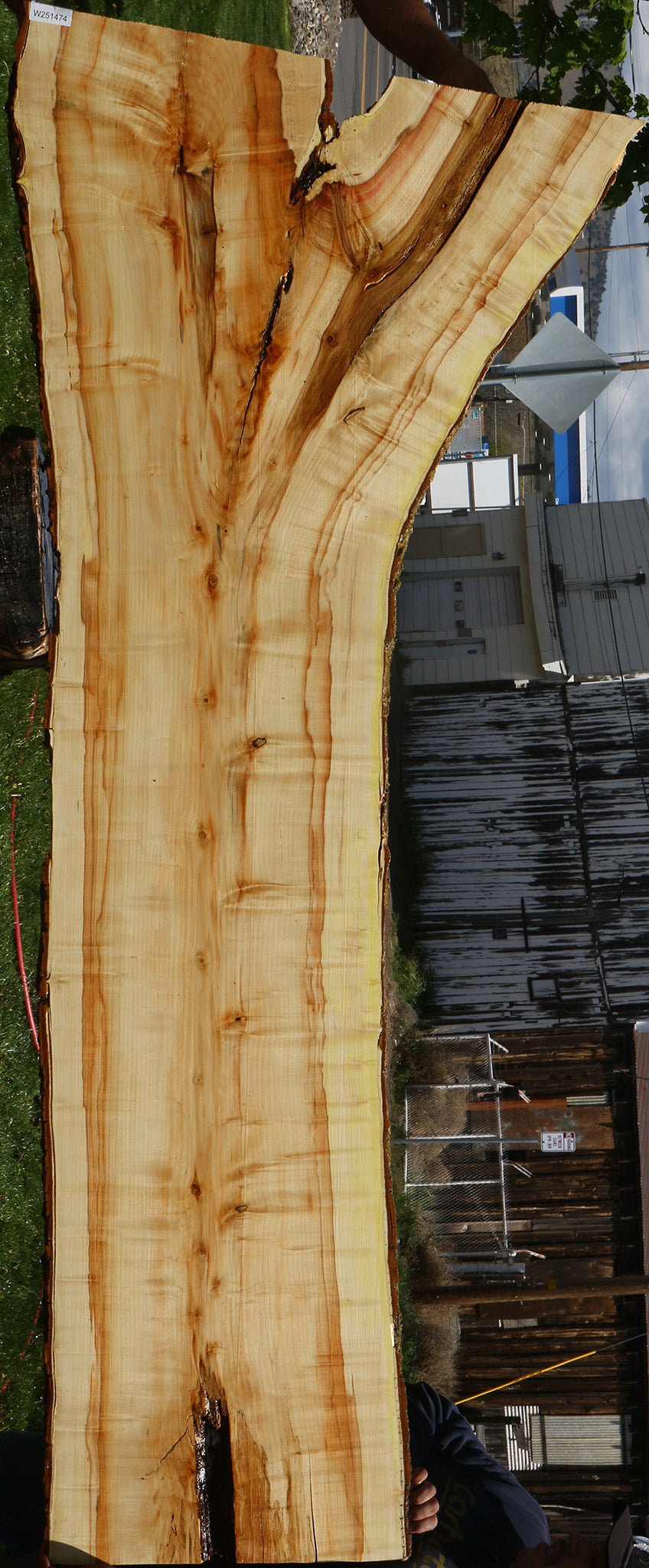 Box Elder Live Edge Slab