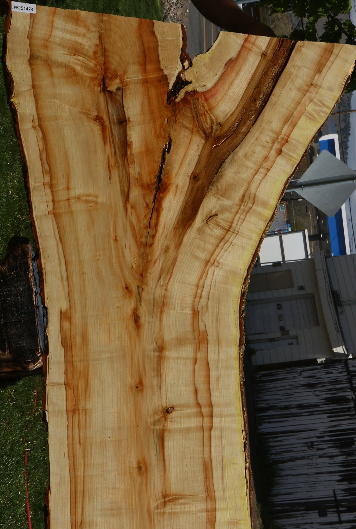 Box Elder Live Edge Slab