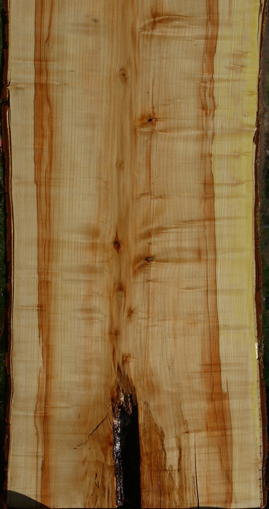 Box Elder Live Edge Slab