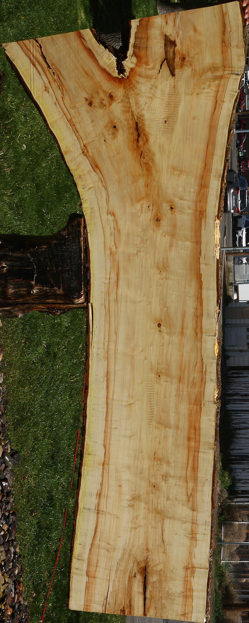 Box Elder Live Edge Slab