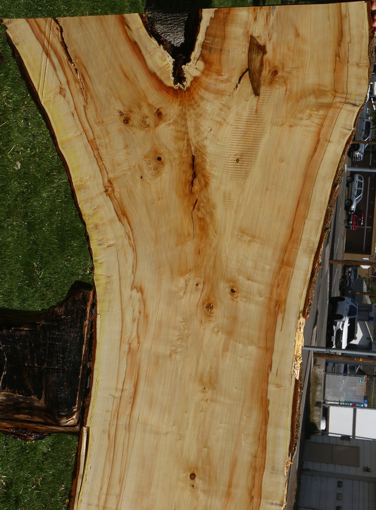 Box Elder Live Edge Slab