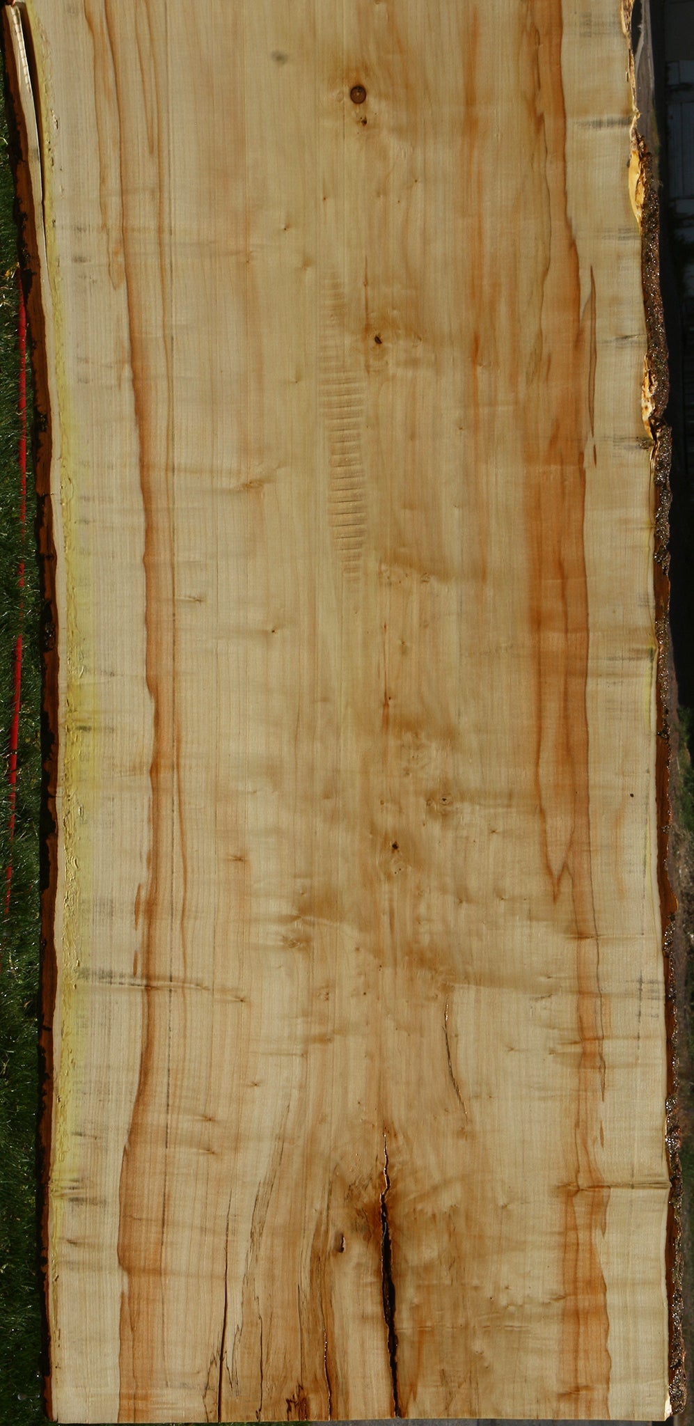 Box Elder Live Edge Slab