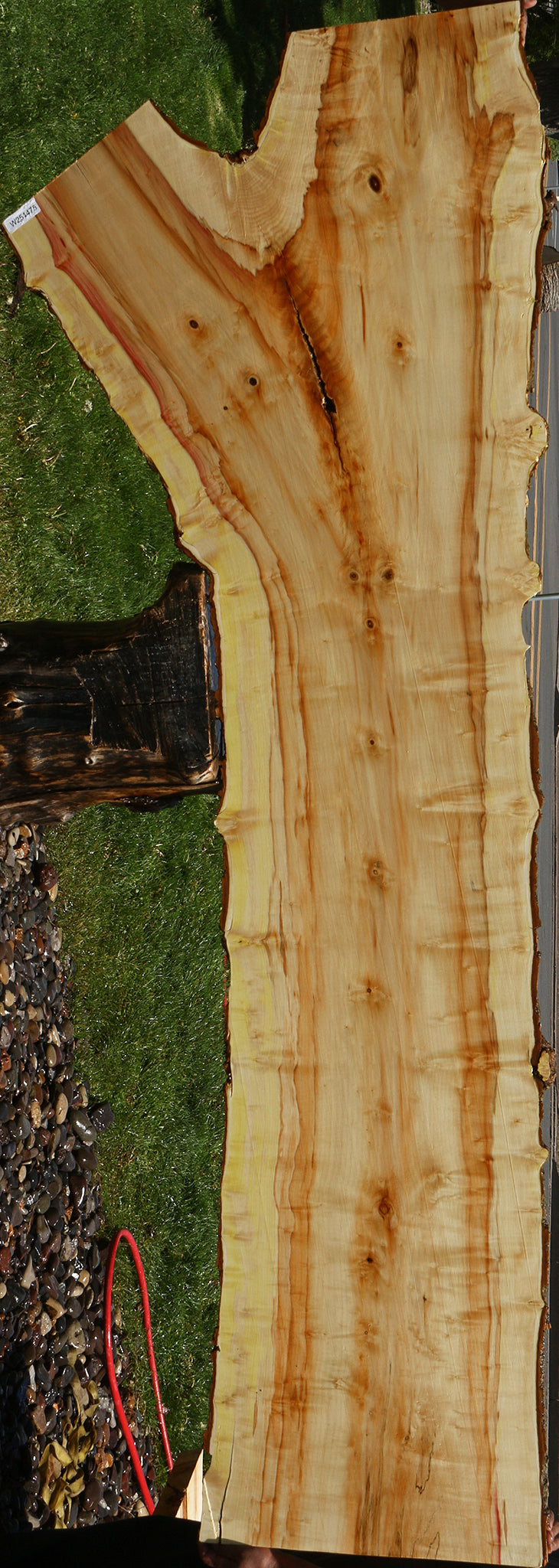 Box Elder Live Edge Slab