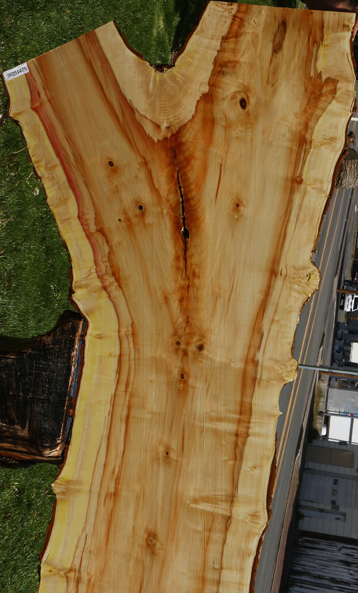 Box Elder Live Edge Slab