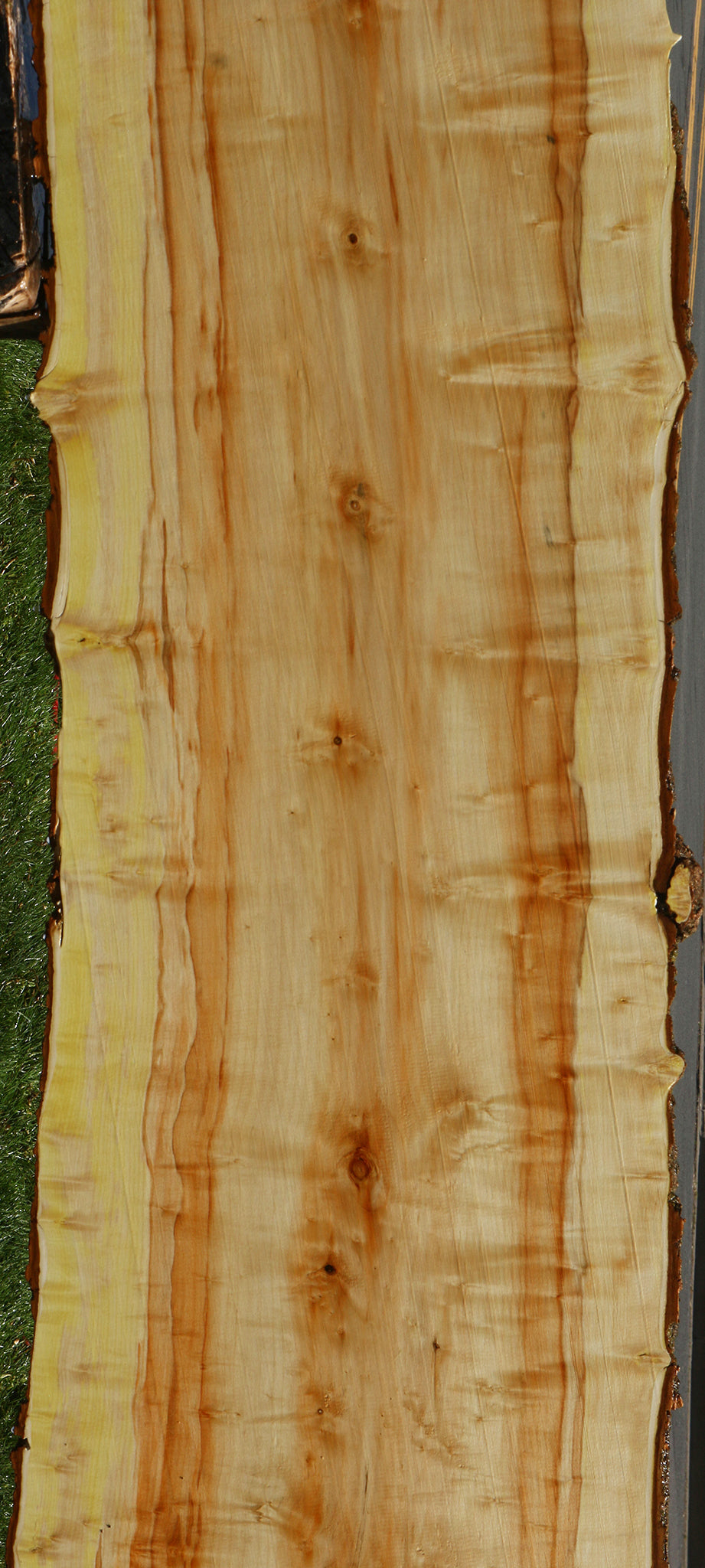 Box Elder Live Edge Slab