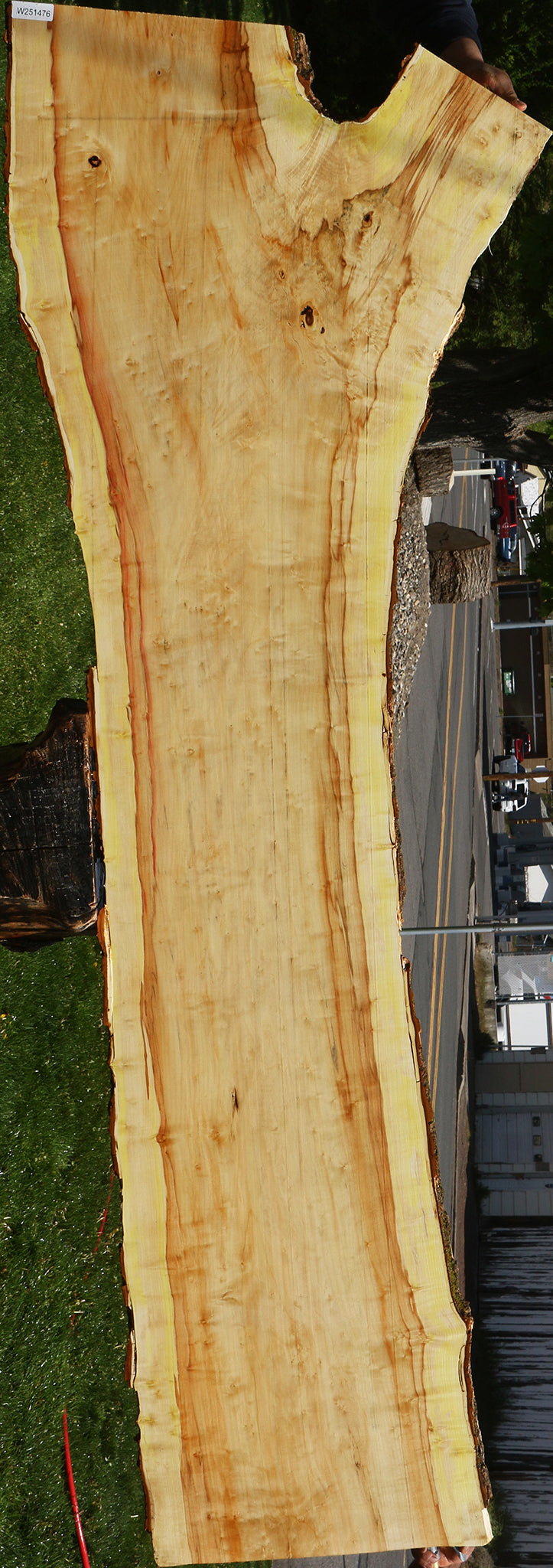 Figured Box Elder Live Edge Slab