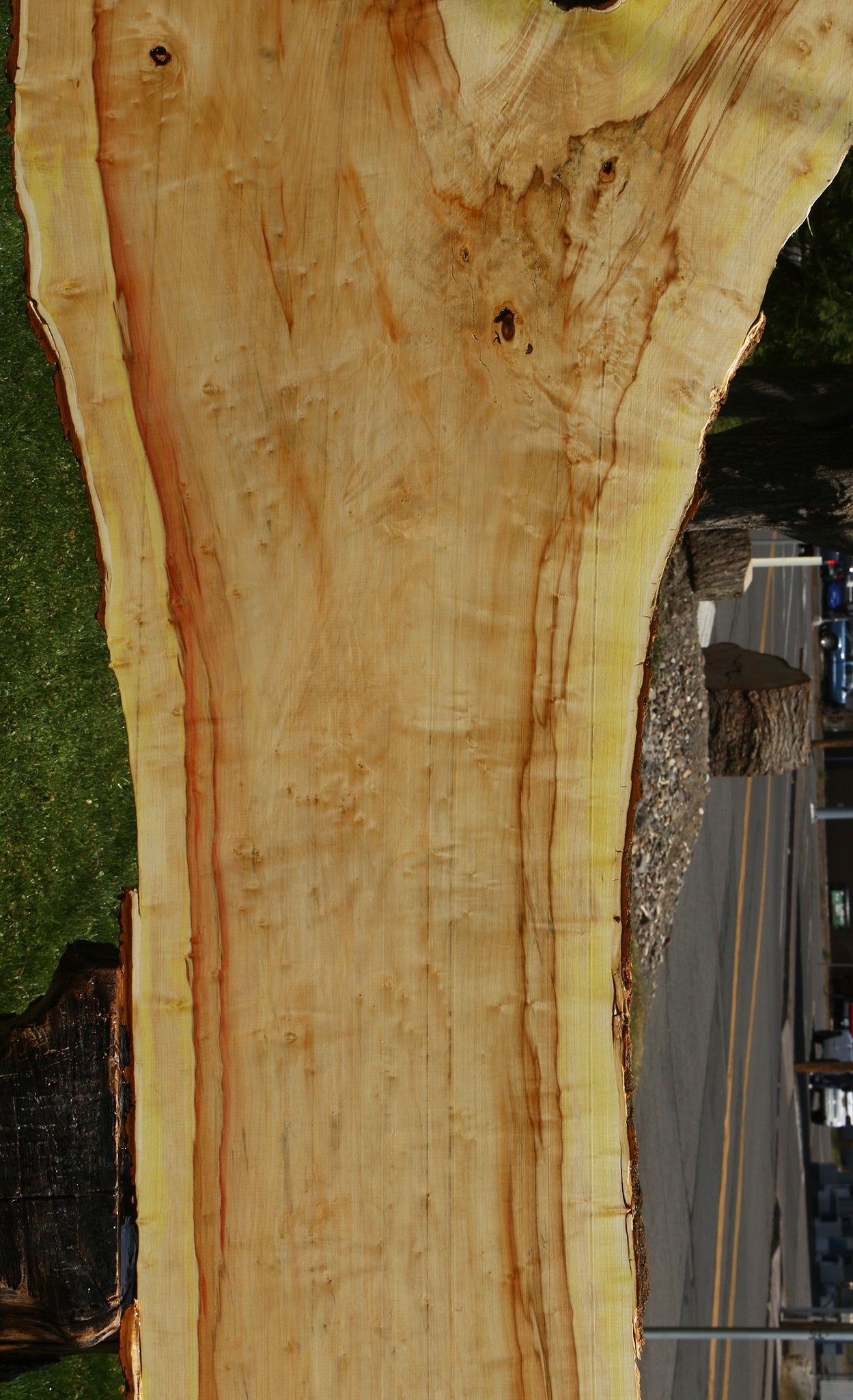 Figured Box Elder Live Edge Slab
