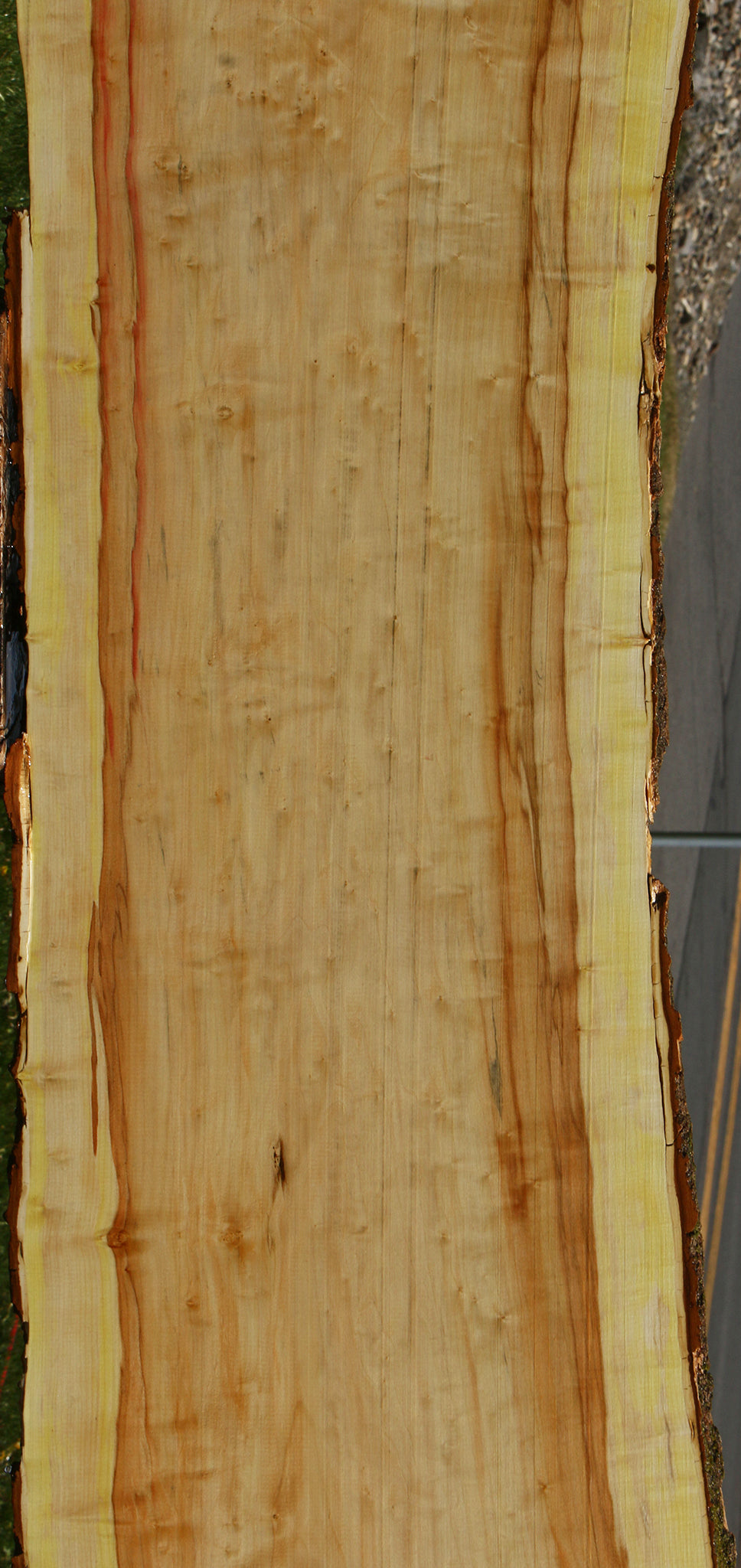 Figured Box Elder Live Edge Slab