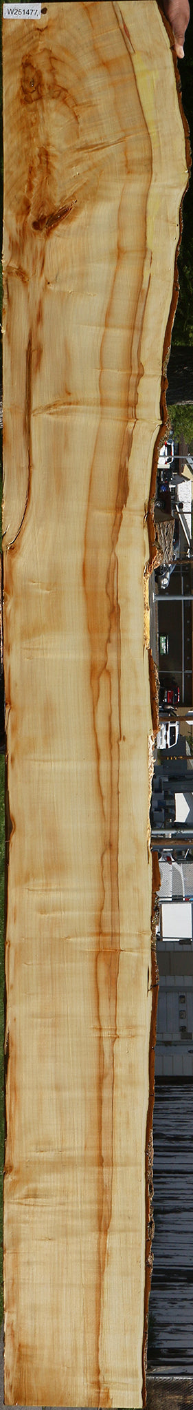 Box Elder Live Edge Slab (Free Shipping Excluded)