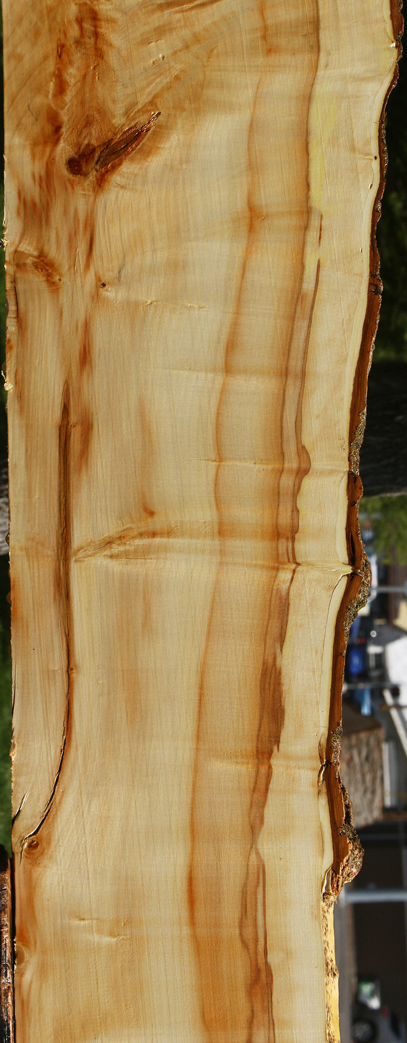 Box Elder Live Edge Slab (Free Shipping Excluded)