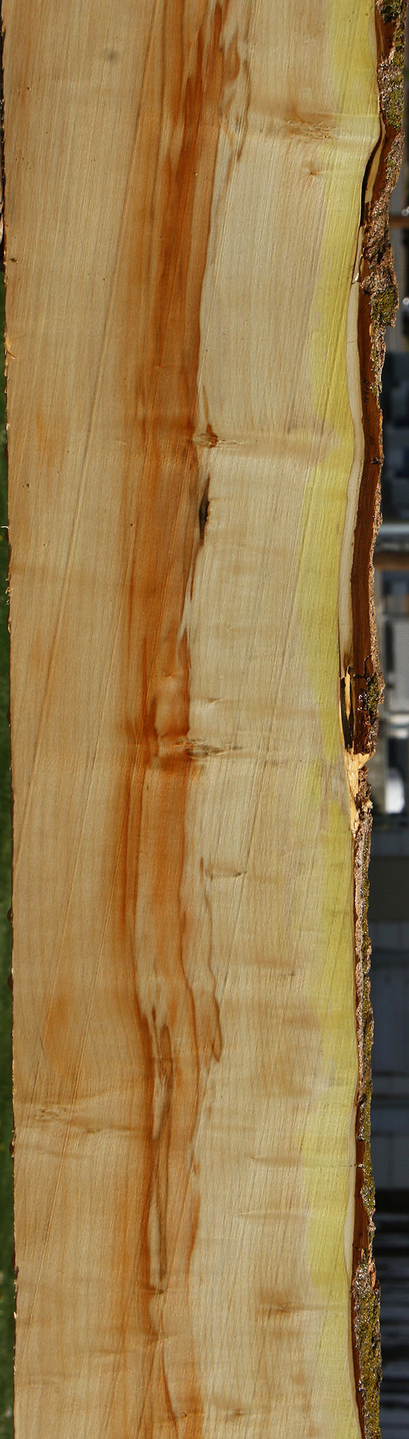 Figured Box Elder Live Edge Slab