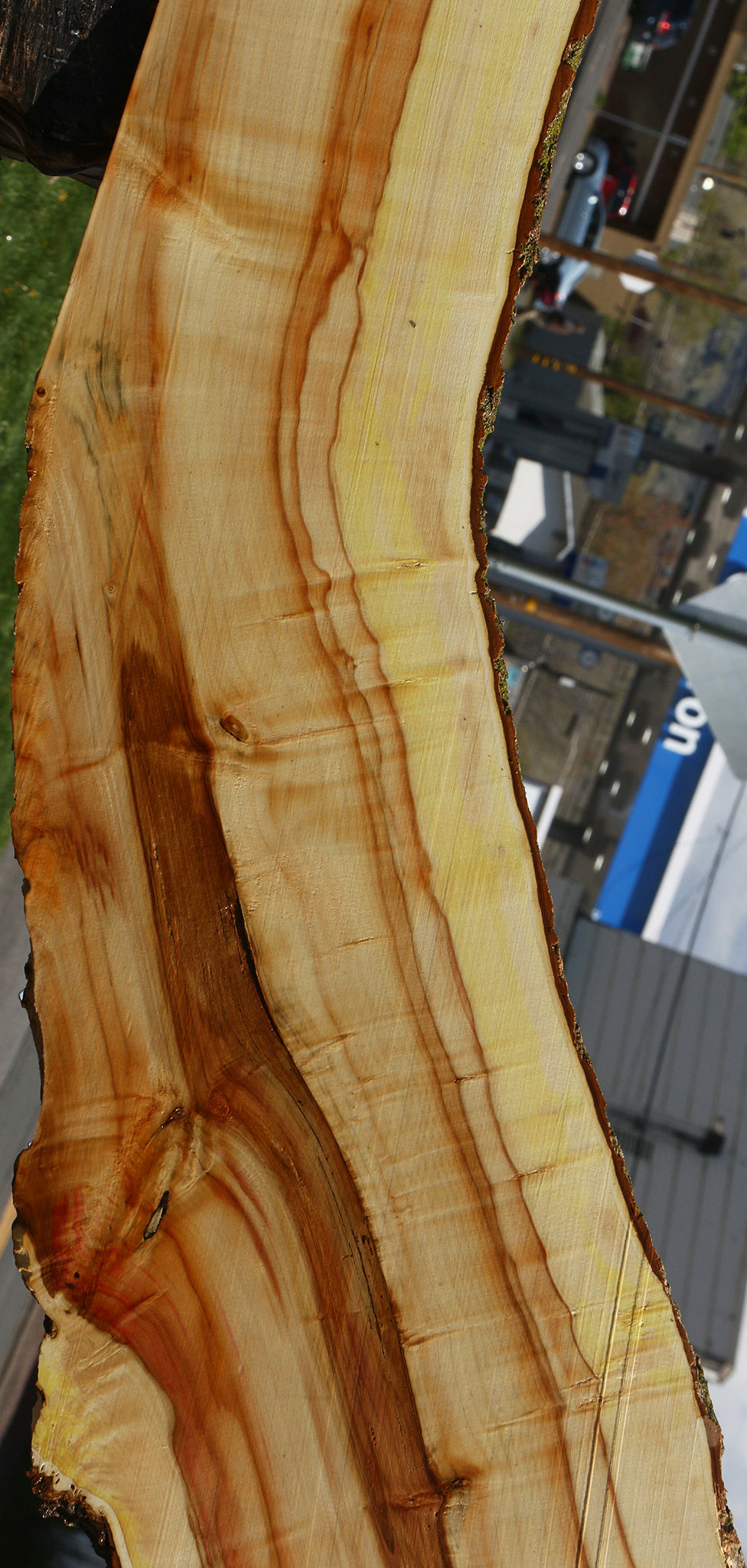 Figured Box Elder Live Edge Slab