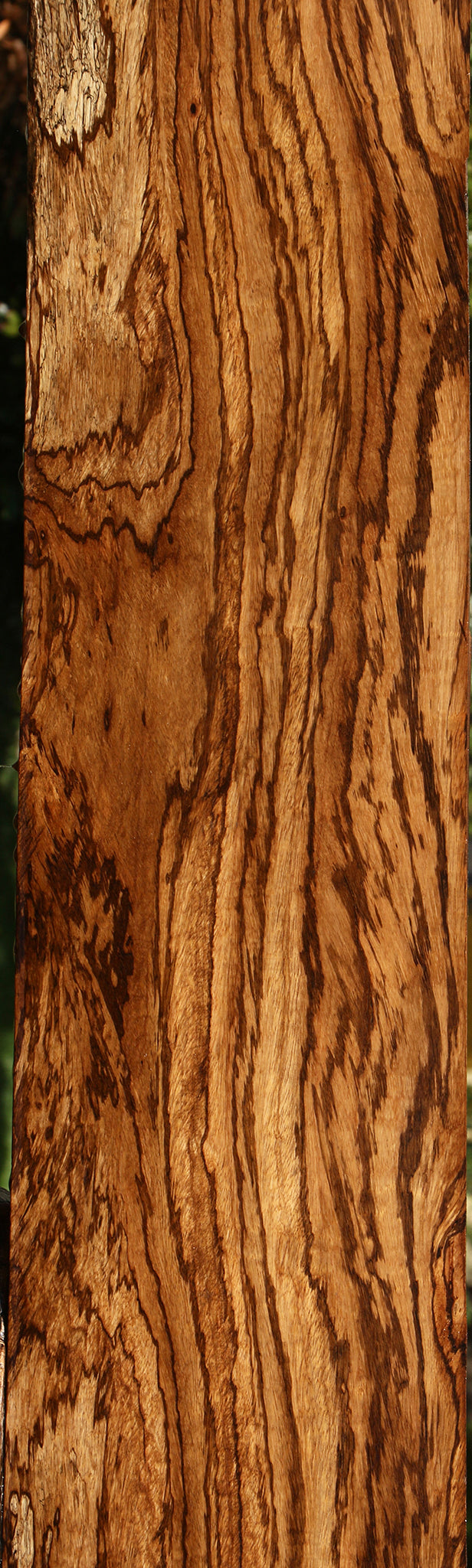 Exhibition Zebrawood Lumber (Free Shipping Excluded)