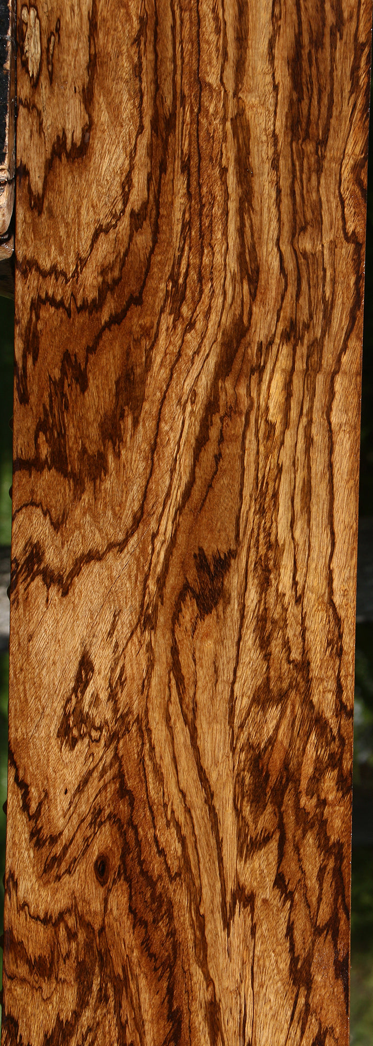 Exhibition Zebrawood Lumber (Free Shipping Excluded)