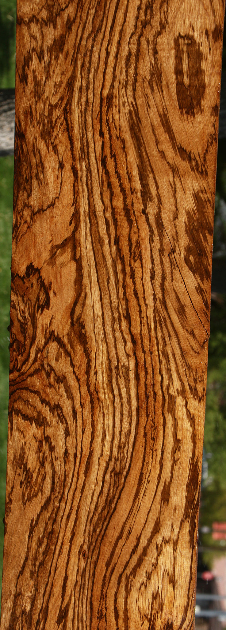 Exhibition Zebrawood Lumber (Free Shipping Excluded)