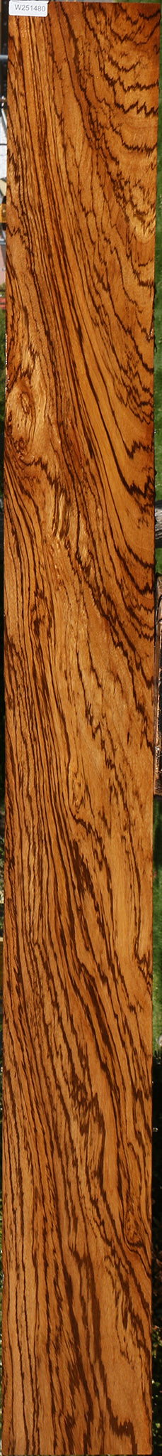 Zebrawood Lumber (Free Shipping Excluded)