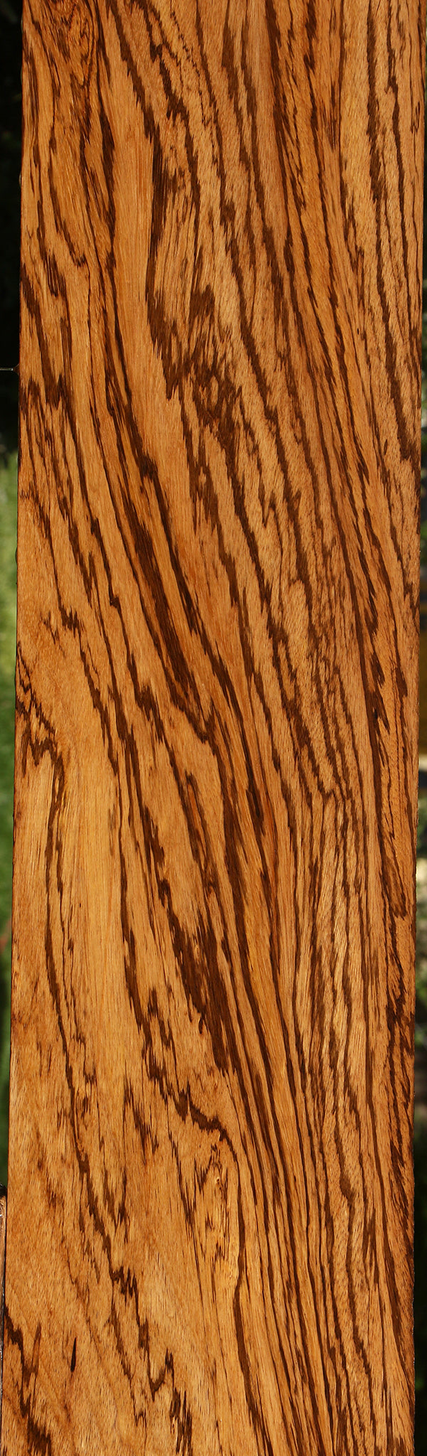 Zebrawood Lumber (Free Shipping Excluded)