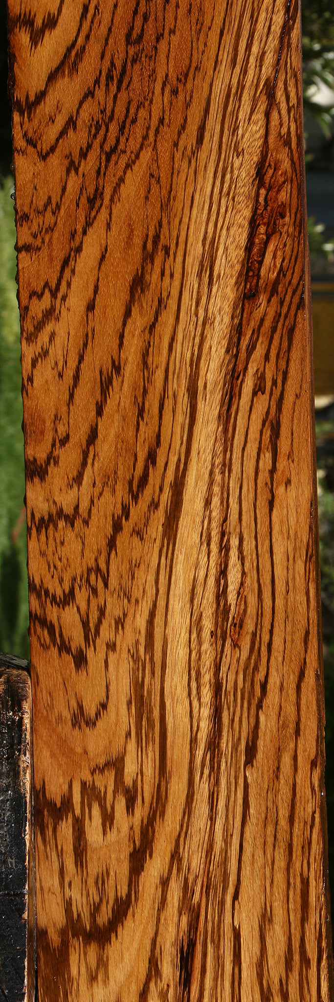 Zebrawood Lumber (Free Shipping Excluded)