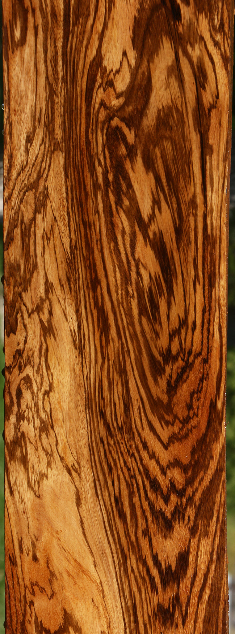 Extra Fancy Zebrawood Lumber (Free Shipping Excluded)