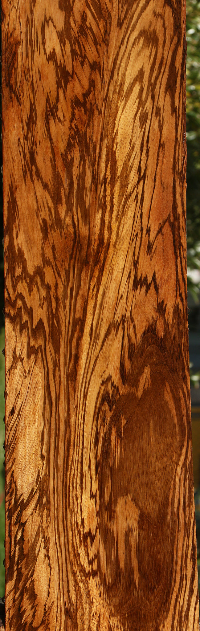 Extra Fancy Zebrawood Lumber (Free Shipping Excluded)