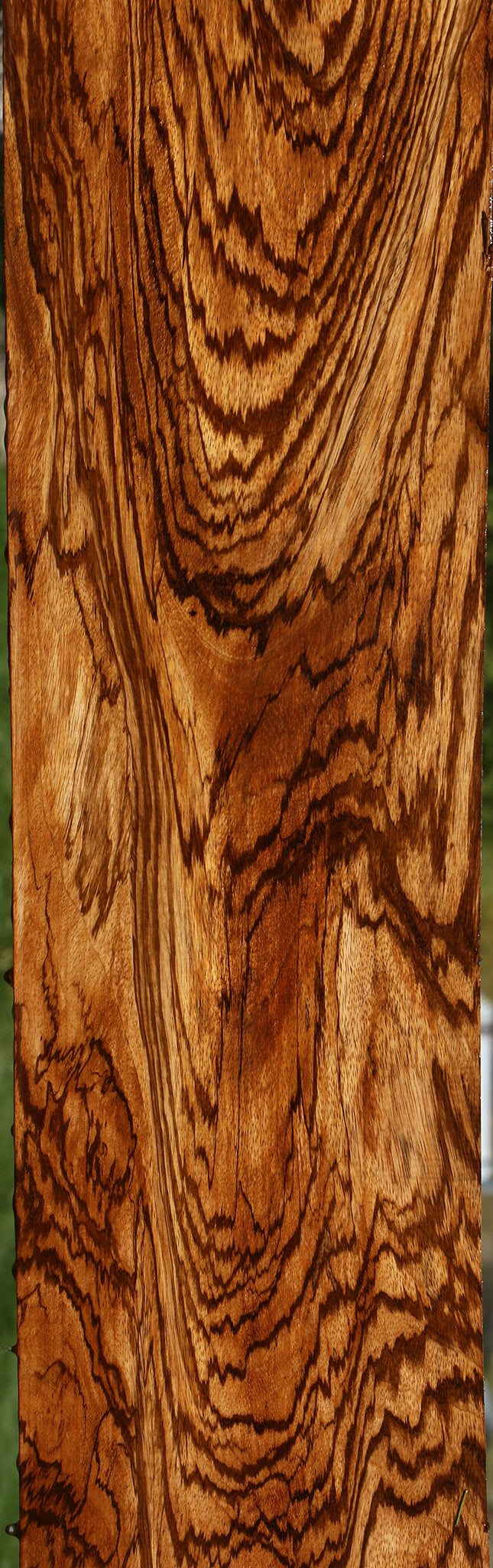 Extra Fancy Zebrawood Lumber (Free Shipping Excluded)