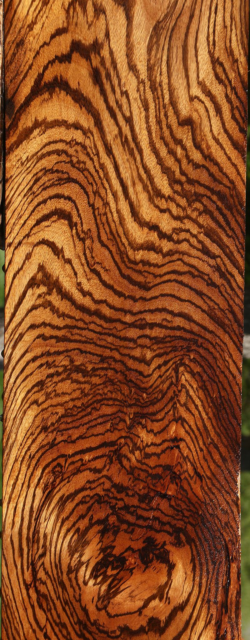 Exhibition Zebrawood Lumber (Free Shipping Excluded)