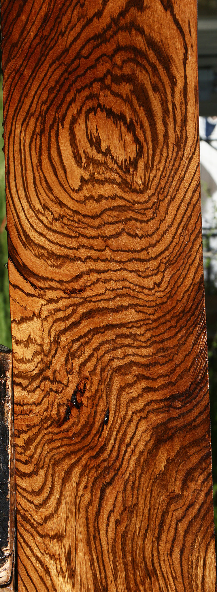 Exhibition Zebrawood Lumber (Free Shipping Excluded)