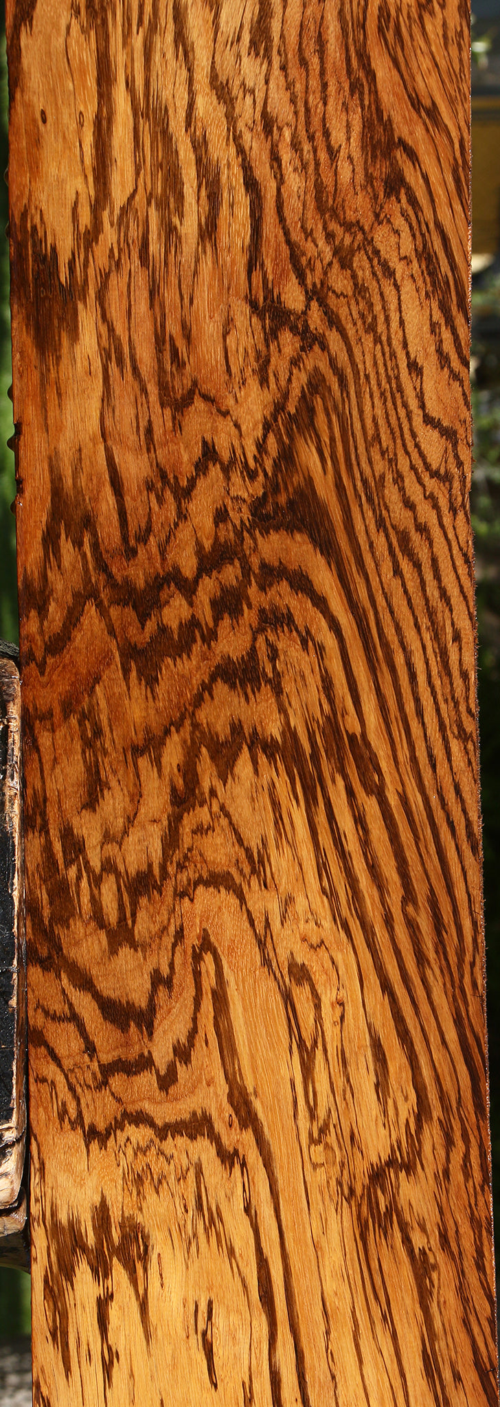 Extra Fancy Zebrawood Lumber (Free Shipping Excluded)