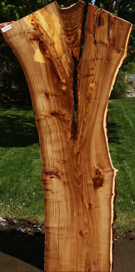 Rustic Elm Live Edge Slab