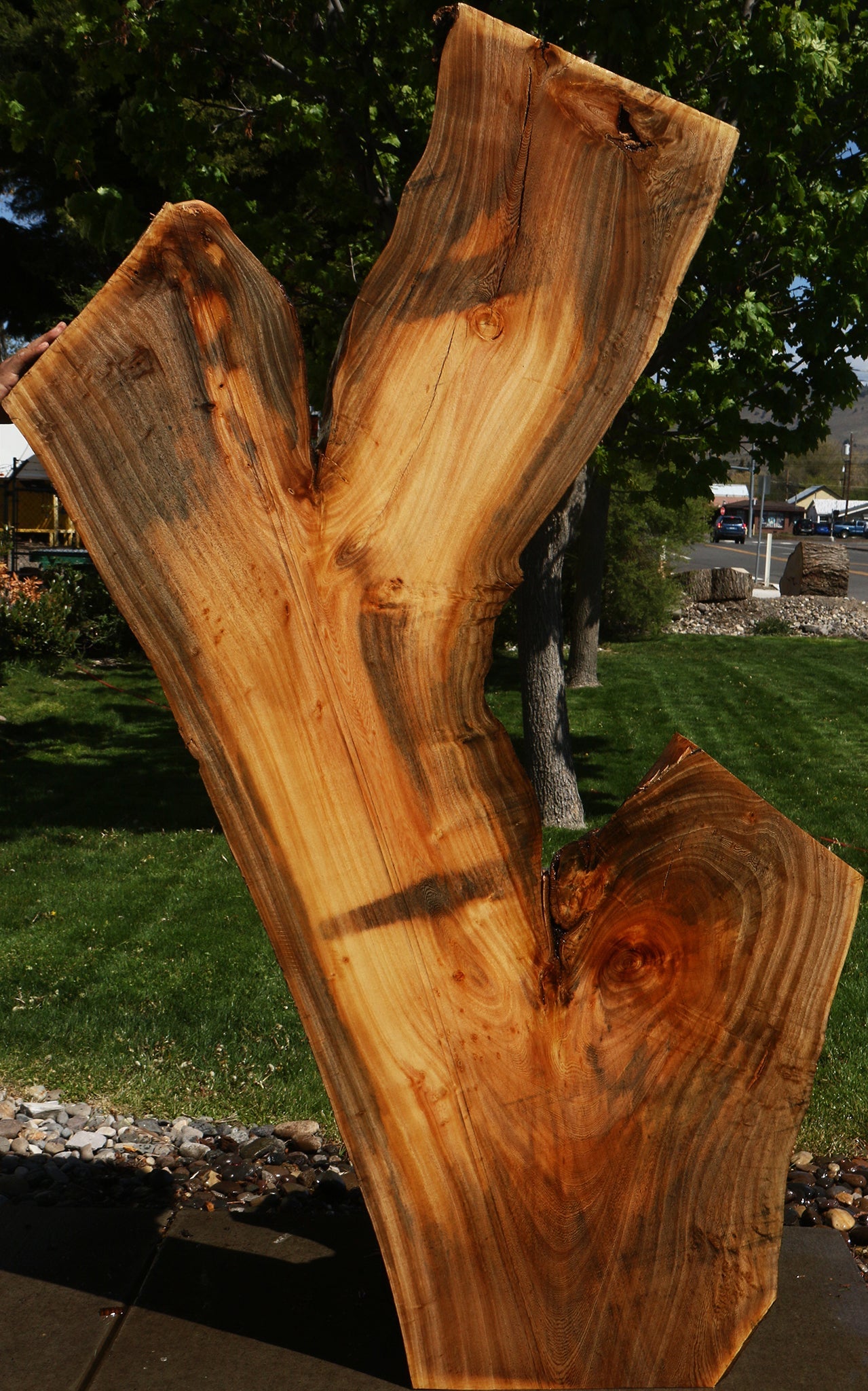 Hackberry Live Edge Slab