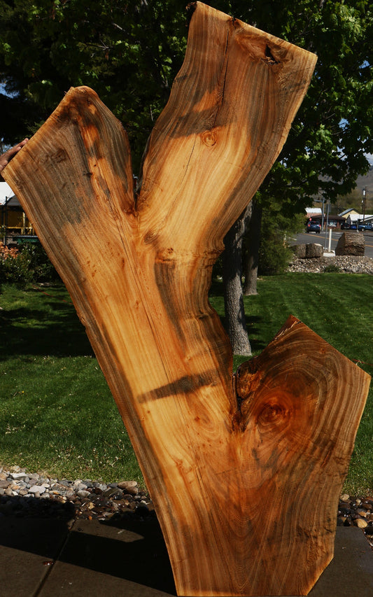 Hackberry Live Edge Slab
