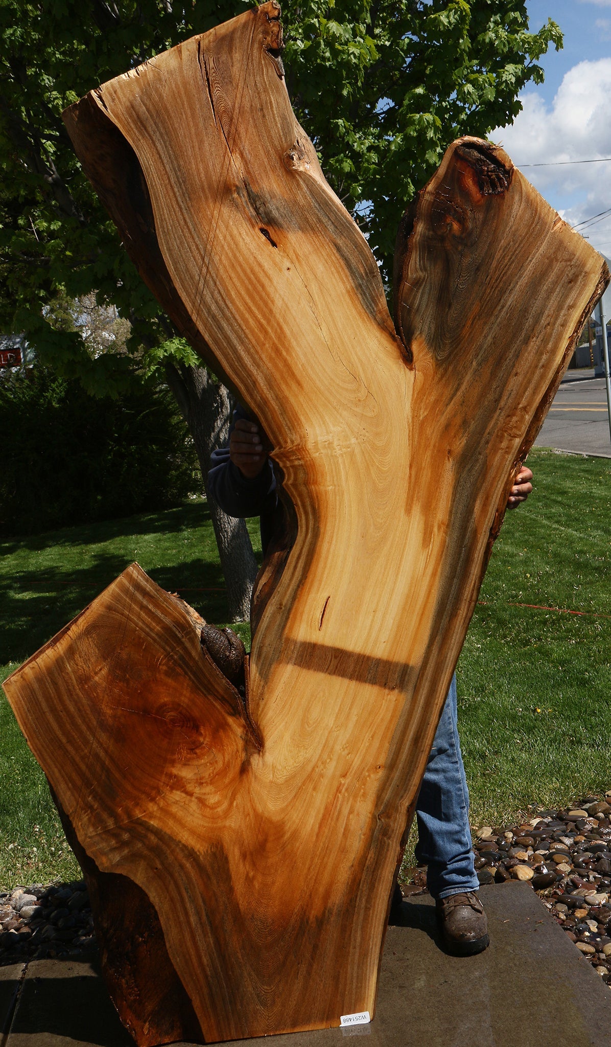 Hackberry Live Edge Slab