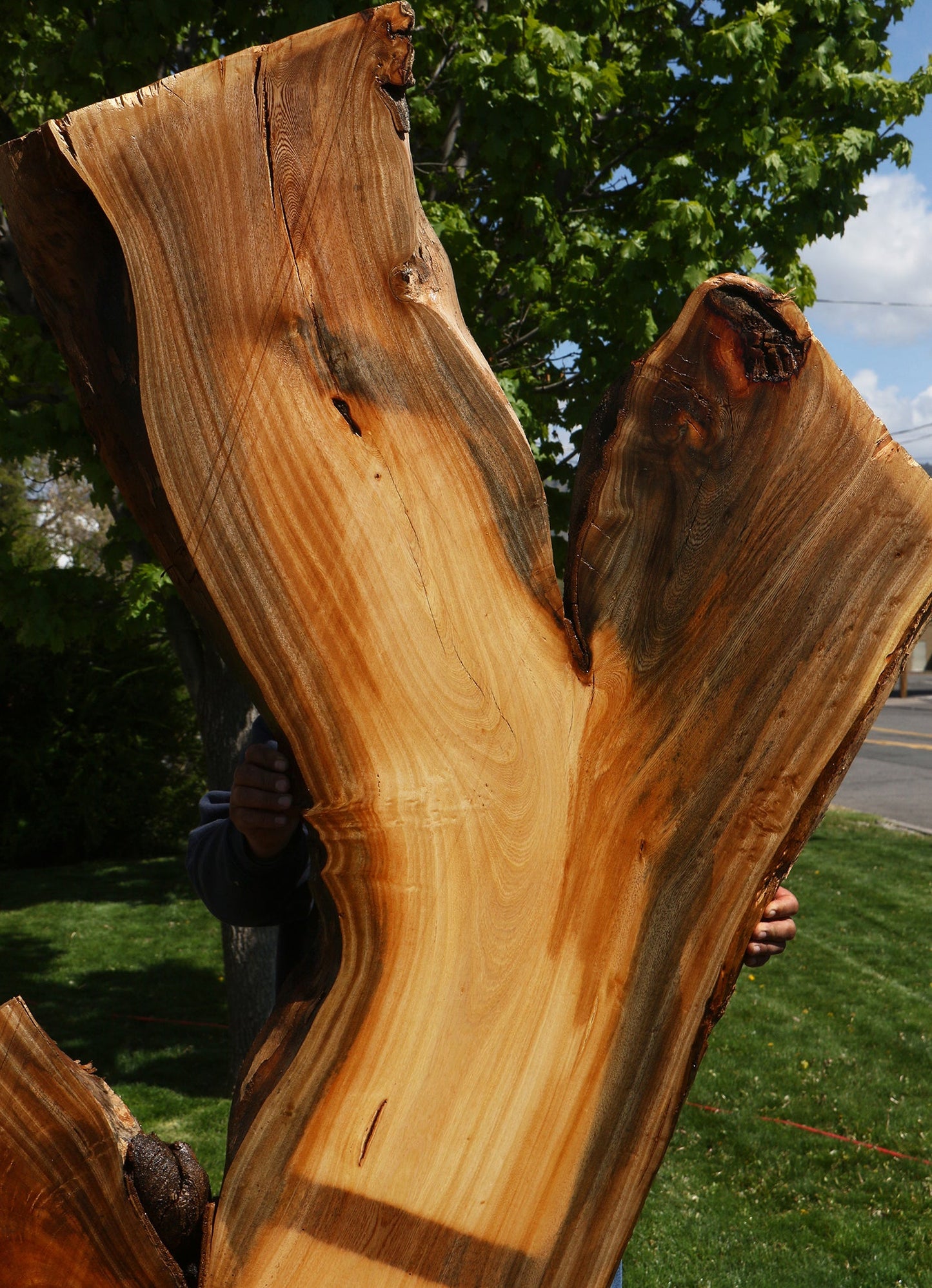 Hackberry Live Edge Slab