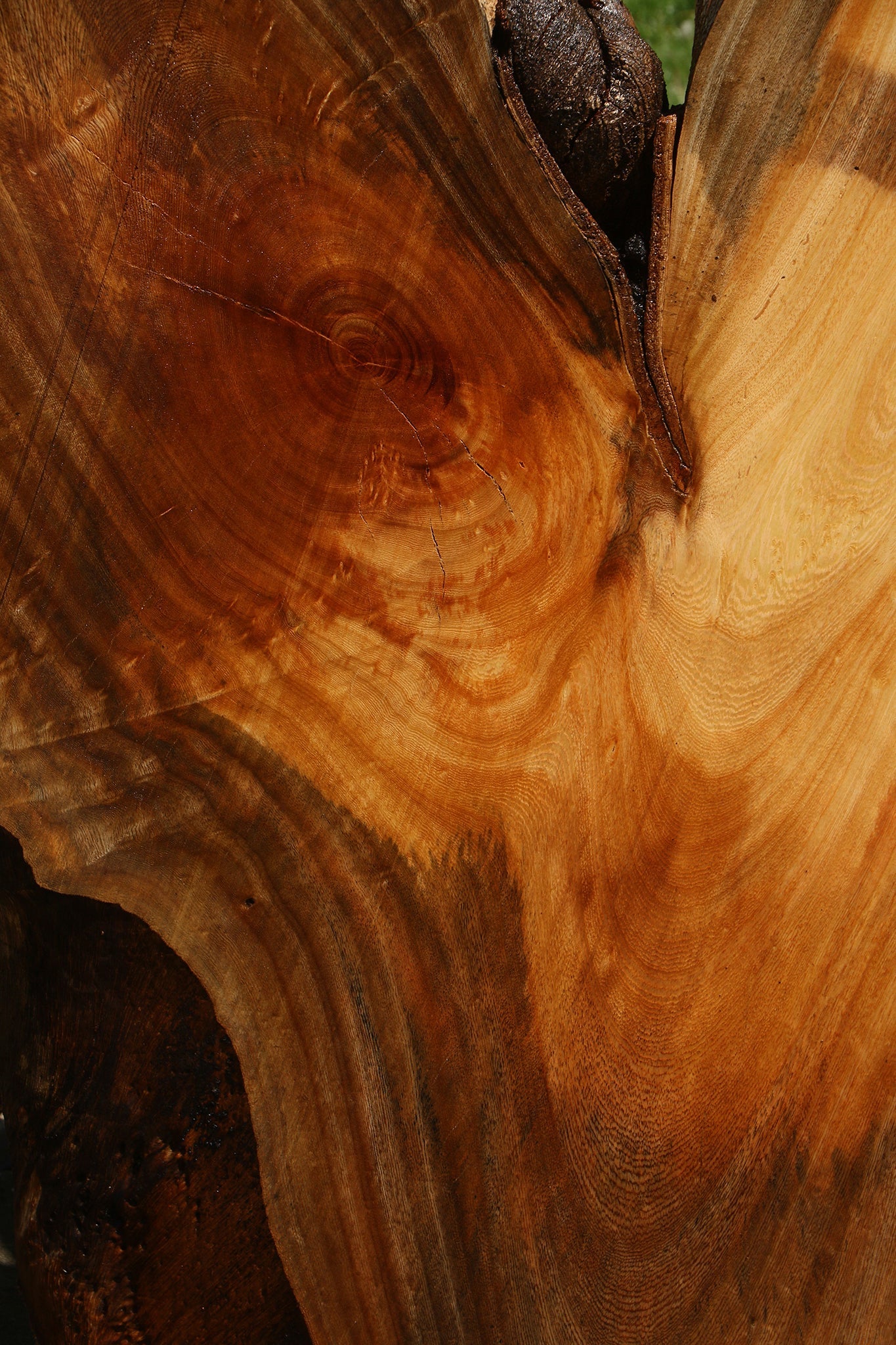 Hackberry Live Edge Slab